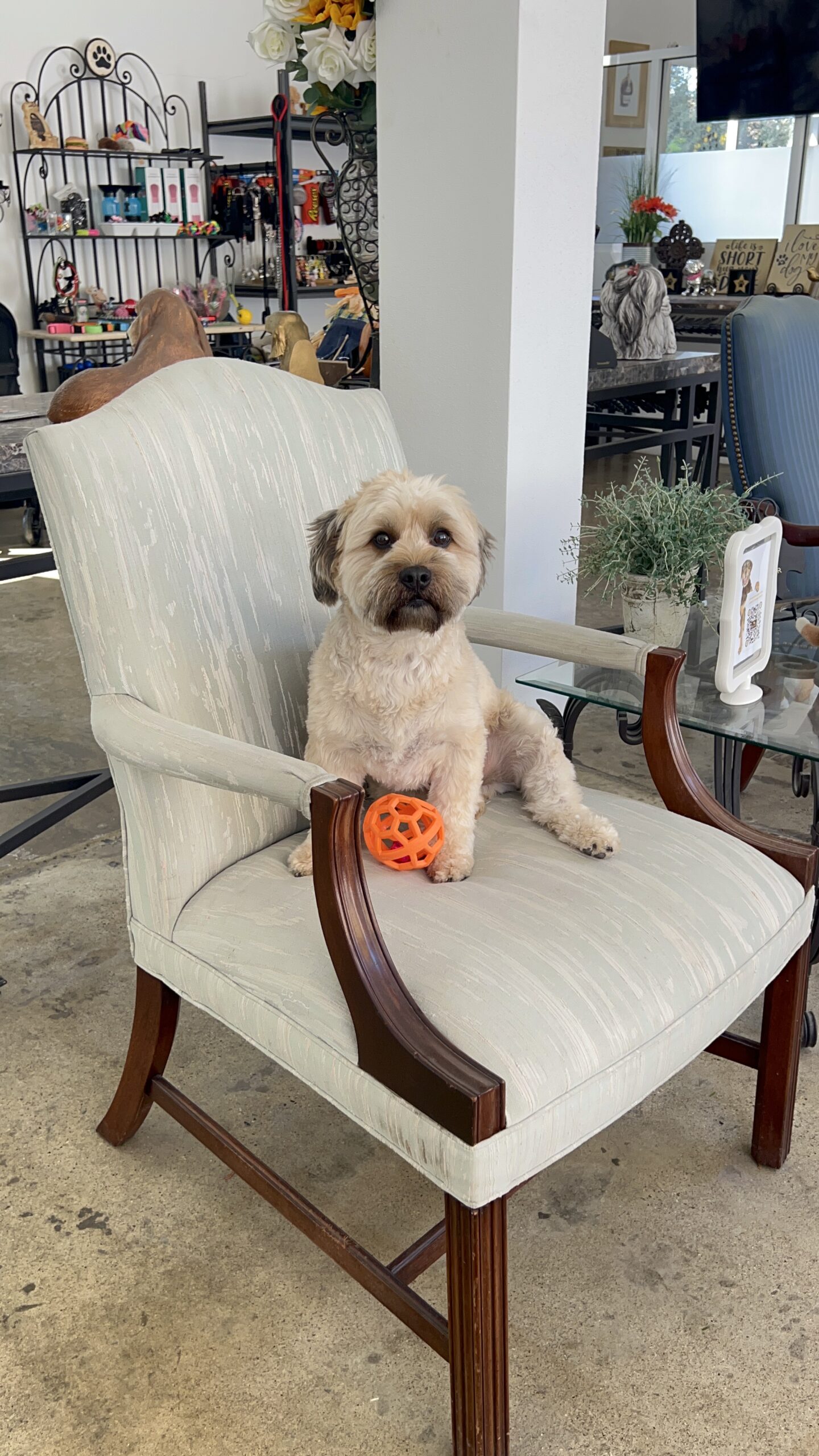 K9 Guest