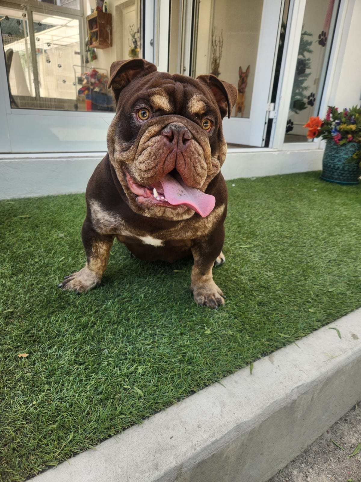 K9 Guest