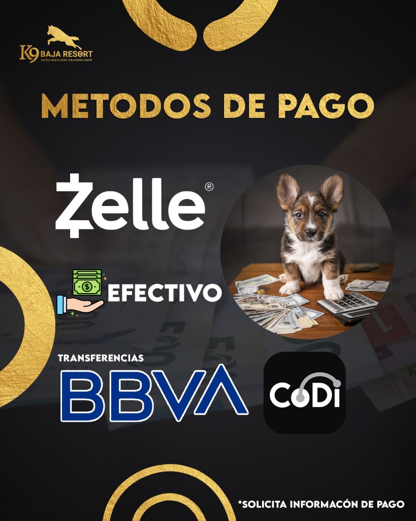 Pagos K9